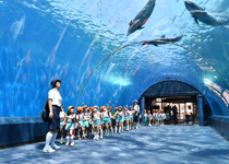 遠足(年中長:水族館)